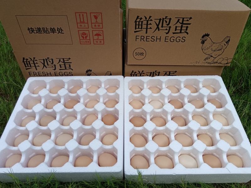 鸡蛋一件代发