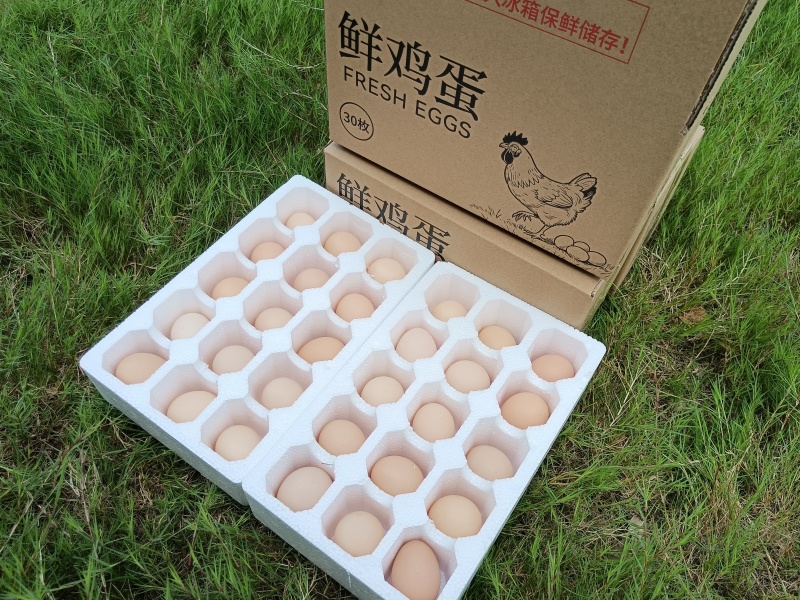 鸡蛋一件代发