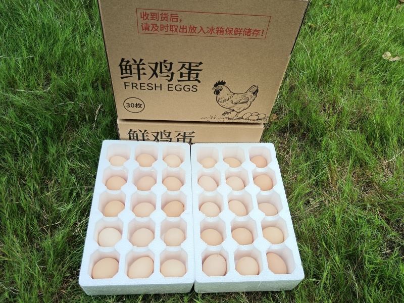 鸡蛋一件代发