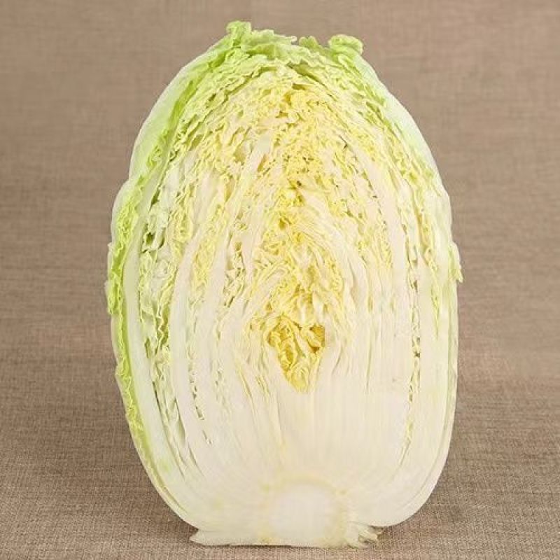 山东原产地黄心大白菜大量现货