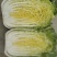 山东原产地黄心大白菜大量现货