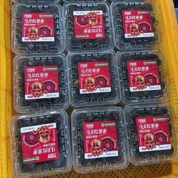 马关红果参