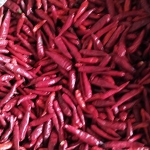 高辣901，烘干色选货