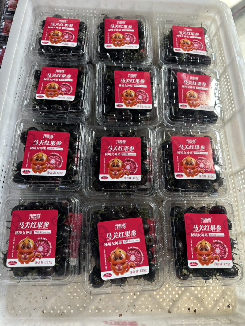 马关红果参