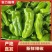 山东芜湖椒大量供应中对接市场档口商超一条龙服务欢迎来电