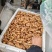 乌天麻种1800米以上高海拔零代种一代种天麻仔种成活率高