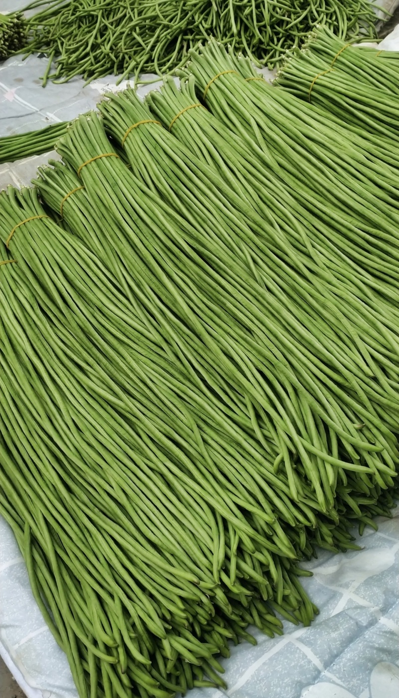 海南豆角