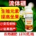 流体硼大瓶小分子硼促花果提高坐果防落果提产量籽粒饱满