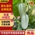 蜜源18博洋72凯蜜88大量发货产地