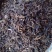 绍兴梅干菜产地直发大量有货干净无沙