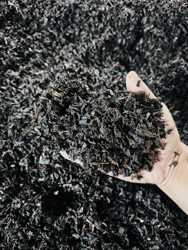 绍兴梅干菜产地直发大量有货干净无沙