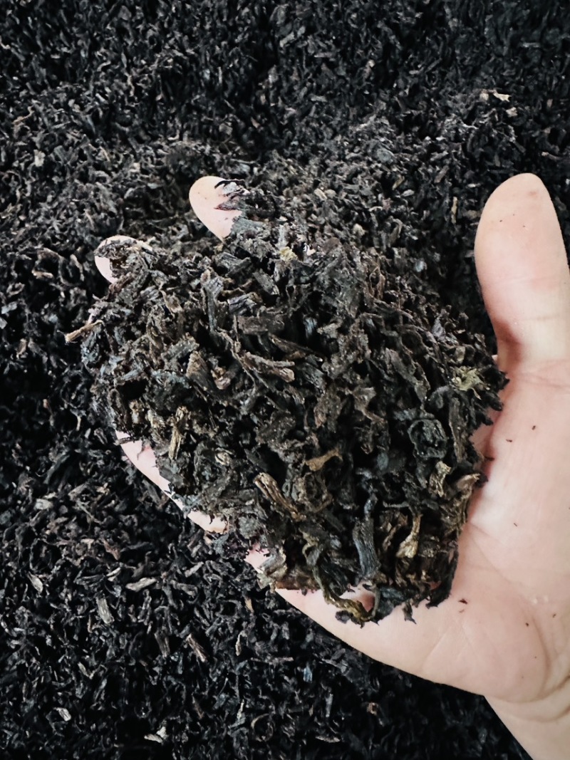 绍兴梅干菜产地直发大量有货干净无沙