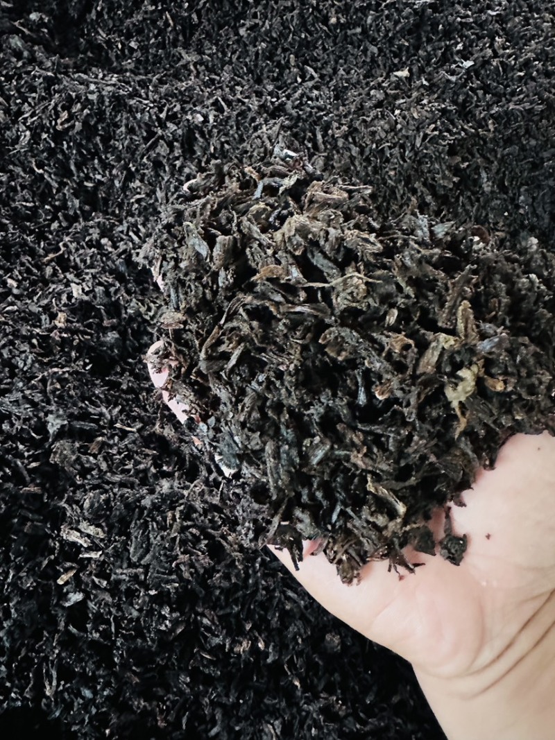绍兴梅干菜产地直发大量有货干净无沙