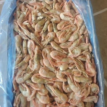 北极虾甜虾残虾价格便宜！！！！！！！！…！