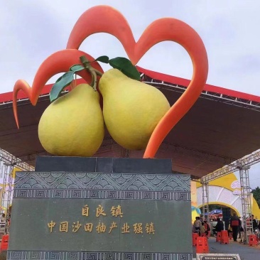 广西正宗沙田柚，想要的老板可以打***********