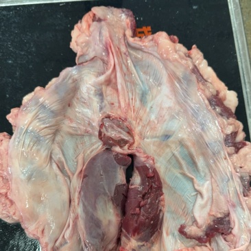 连肝肉