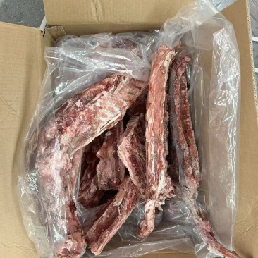 多肉羊蝎子