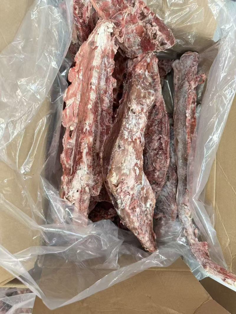多肉羊蝎子