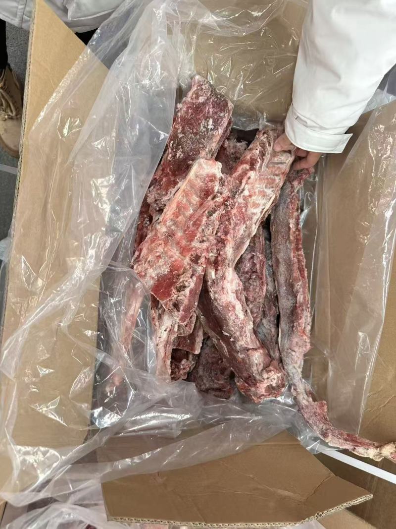 多肉羊蝎子