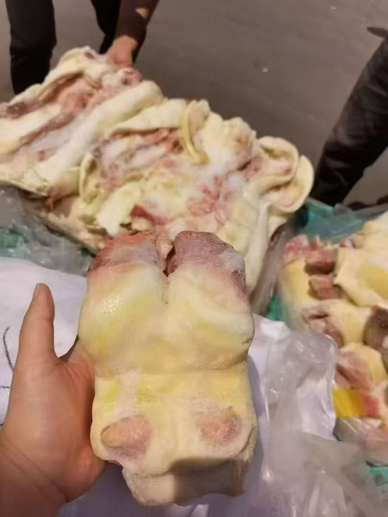 精品牛蹄掌