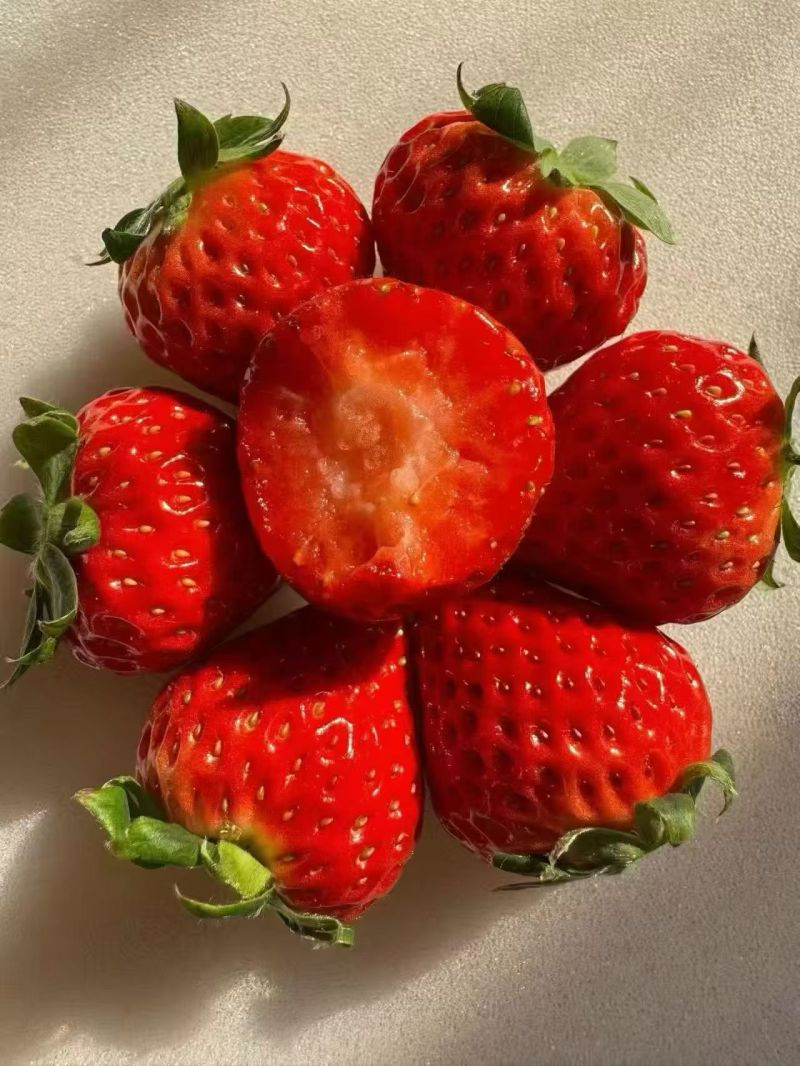 久久草莓