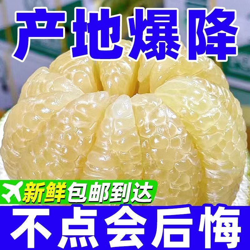 9斤正宗福建平和白心柚子老树白蜜柚白肉白心冰糖柚孕妇水果