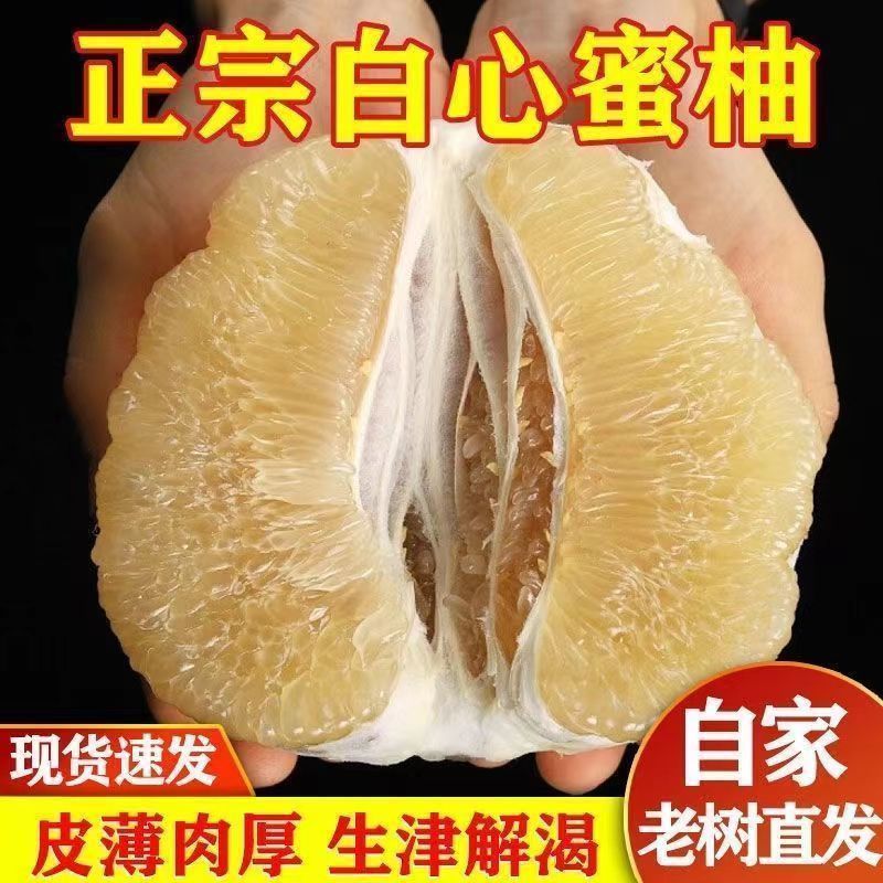 9斤正宗福建平和白心柚子老树白蜜柚白肉白心冰糖柚孕妇水果