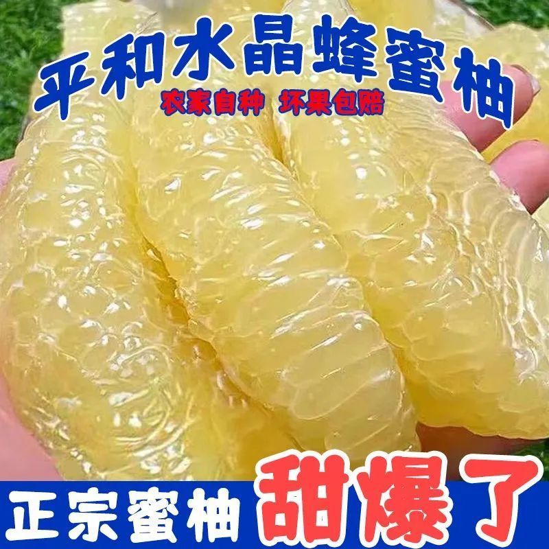 9斤正宗福建平和白心柚子老树白蜜柚白肉白心冰糖柚孕妇水果