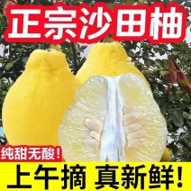 【纯甜无酸】正宗白心沙田柚新鲜柚子批发价护国沙田柚大果