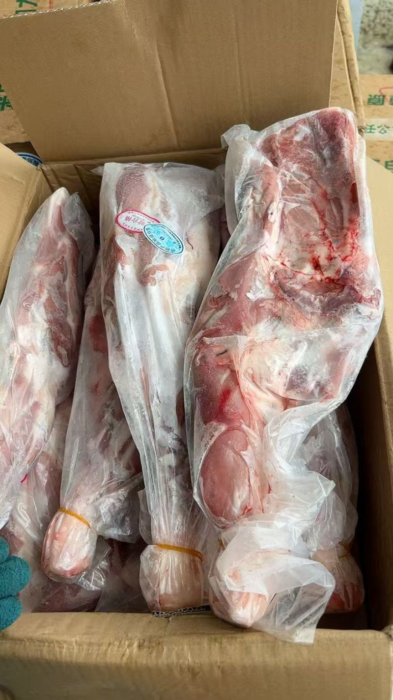 羔羊前腿