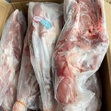 内蒙羔羊前腿7条一件的20斤