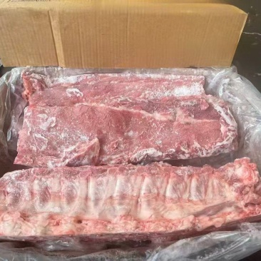 母猪龙骨