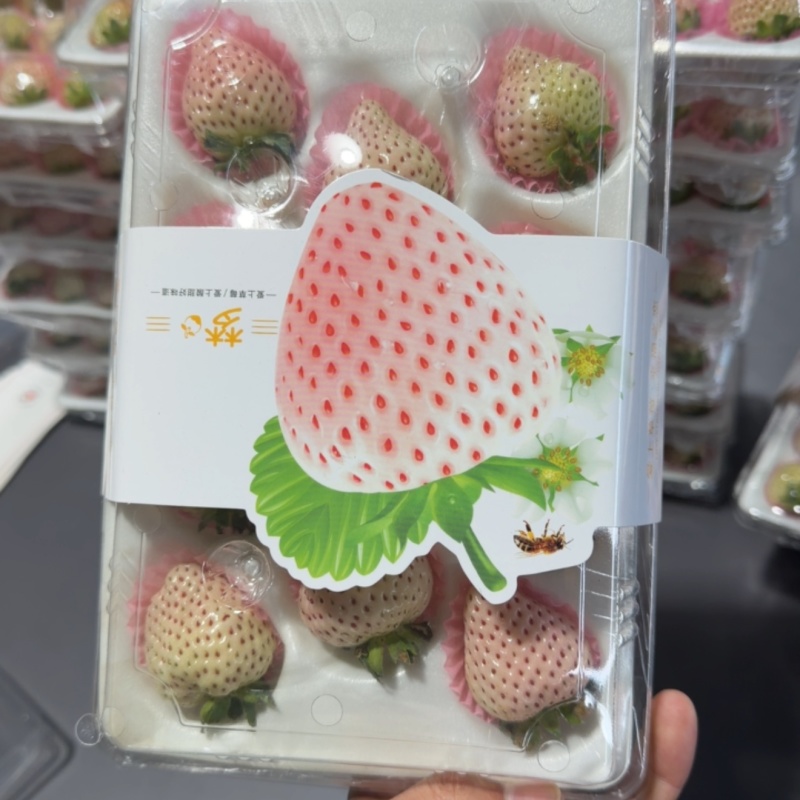 淡雪草莓