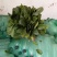 精品河北大叶菠菜质量保证货源充足量大从优欢迎咨询