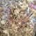 云南山茶茸菇干货大量供应一手货源全国发货