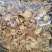 云南山茶茸菇干货大量供应一手货源全国发货