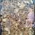 云南山茶茸菇干货大量供应一手货源全国发货