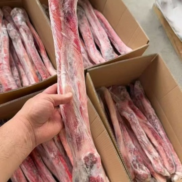 小根牛鞭