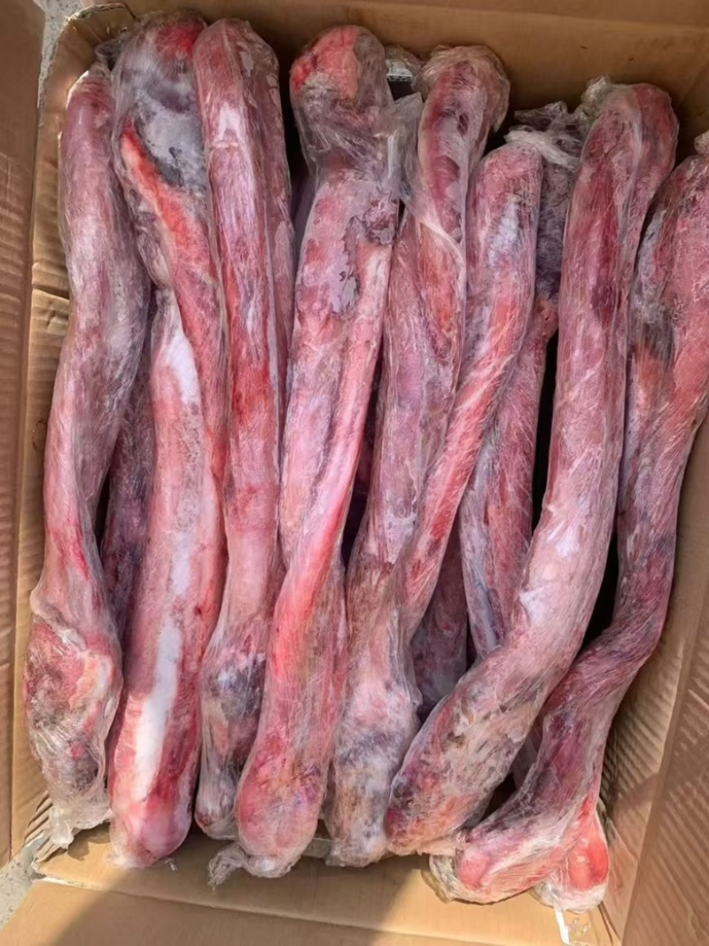 小根牛鞭