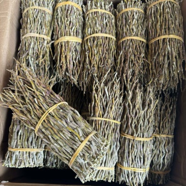 铁皮石斛全胶质颜色青绿特级（磨粉请备注）