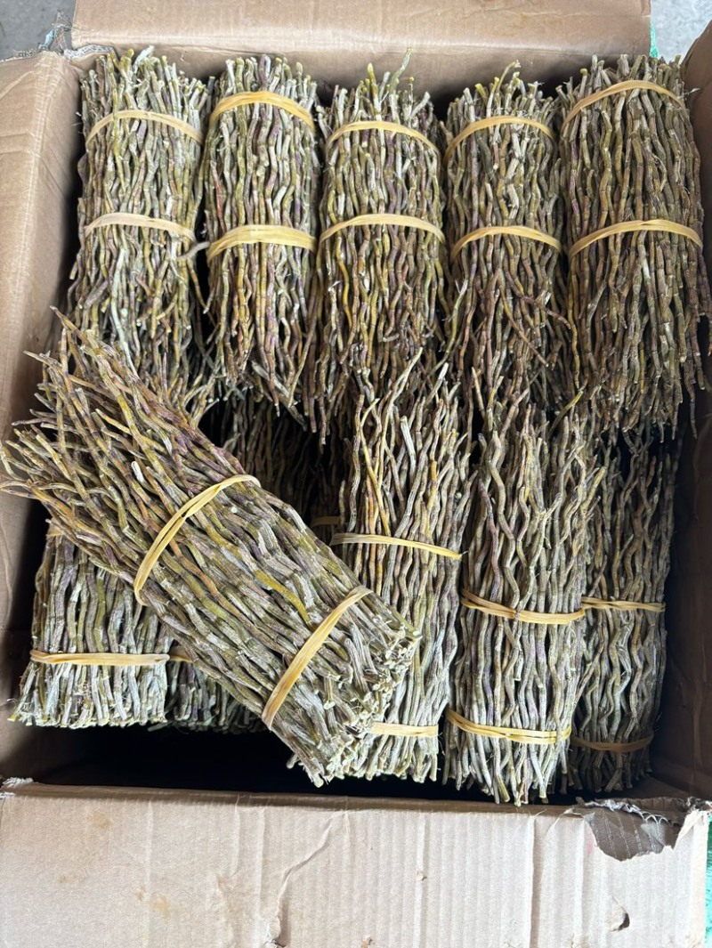 铁皮石斛全胶质颜色青绿特级（磨粉请备注）