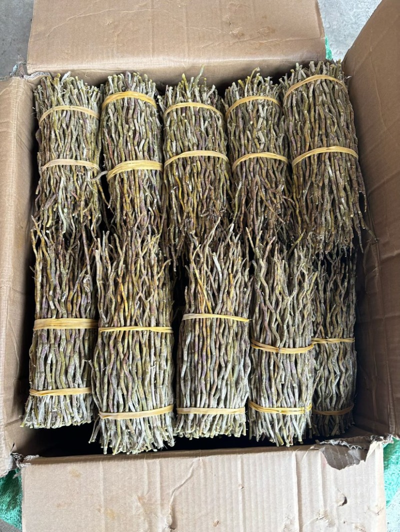 铁皮石斛全胶质颜色青绿特级（磨粉请备注）