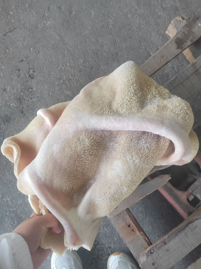 国产四五成熟水煮牛大肚带金肚现货3吨