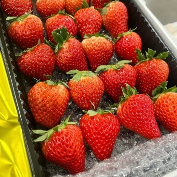 久久草莓