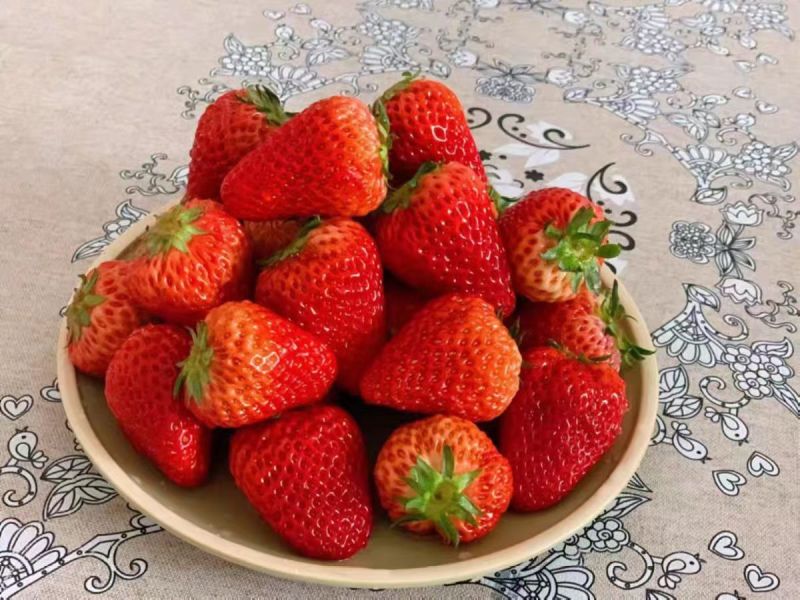 久久草莓
