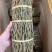 铁皮石斛全胶质颜色青绿特级（磨粉请备注）