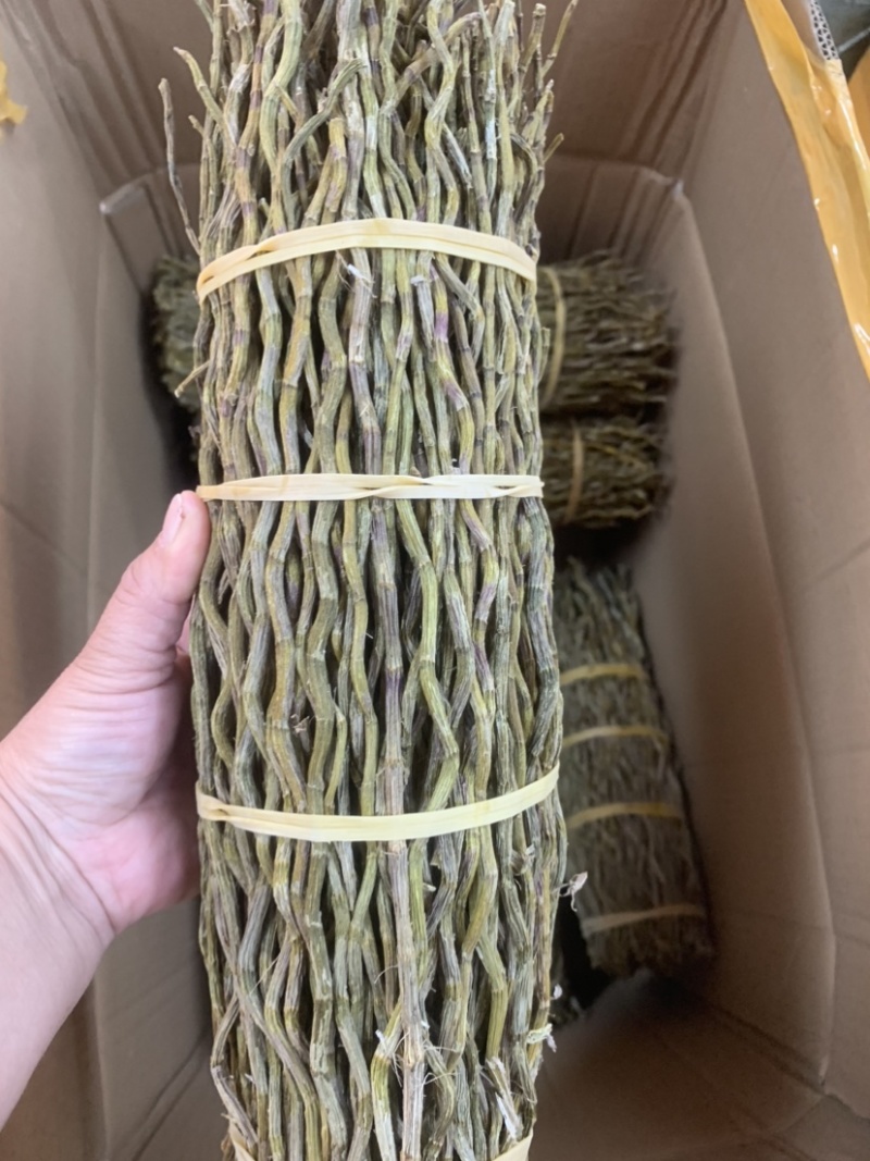 铁皮石斛全胶质颜色青绿特级（磨粉请备注）