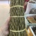 铁皮石斛全胶质颜色青绿特级（磨粉请备注）