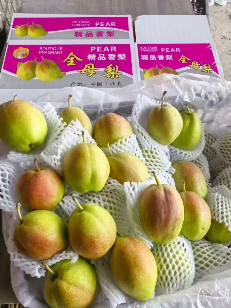 库尔勒香梨，精品香梨礼盒，保证质量，产地一手货源量大从优
