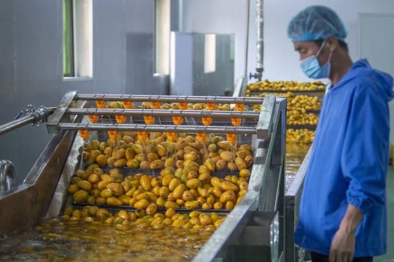碎片芒果干口感不输大片散货整件批发